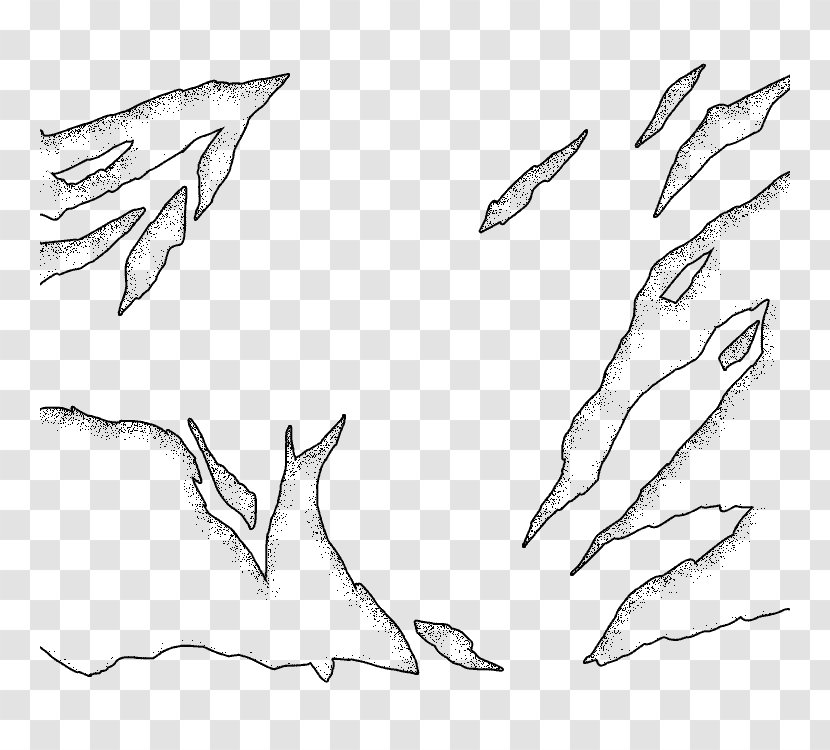 Drawing Line Art Feather Sketch - Hand - Effectfestival Transparent PNG