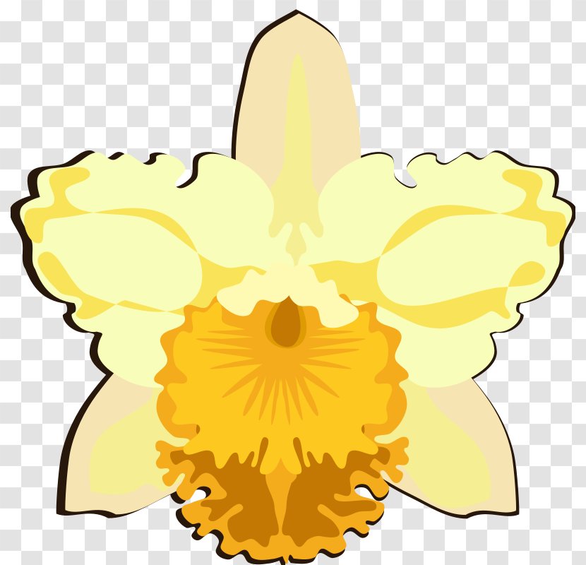 Floral Design Clip Art Petal Cut Flowers - Yellow - Flower Transparent PNG