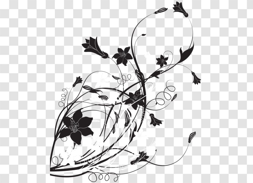 Art Black And White Drawing Clip - Wing - Fancy Line Transparent PNG