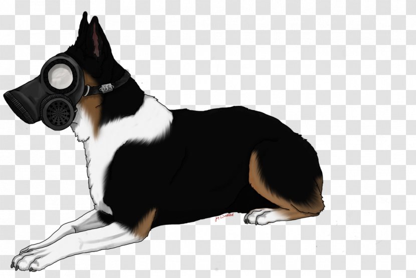Dog Breed Snout - Seppala Siberian Sleddog Transparent PNG