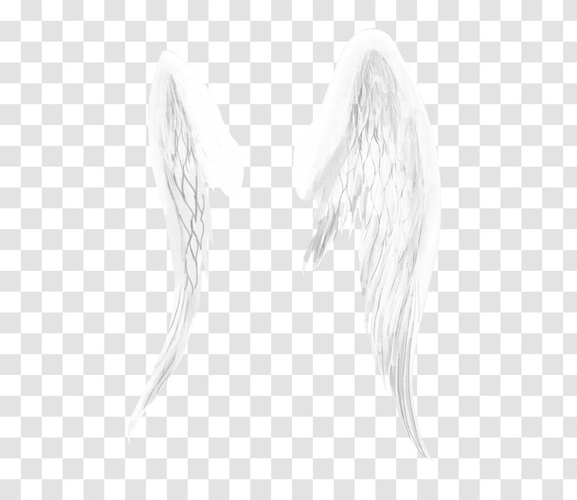 Drawing Monochrome /m/02csf Face Sketch - Angel - Wings Material Transparent PNG