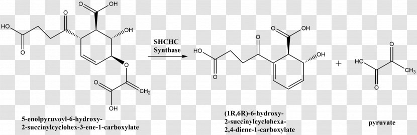 Dextroamphetamine Purple Coneflower Beta-Carotene - Betacarotene - Reaction Transparent PNG
