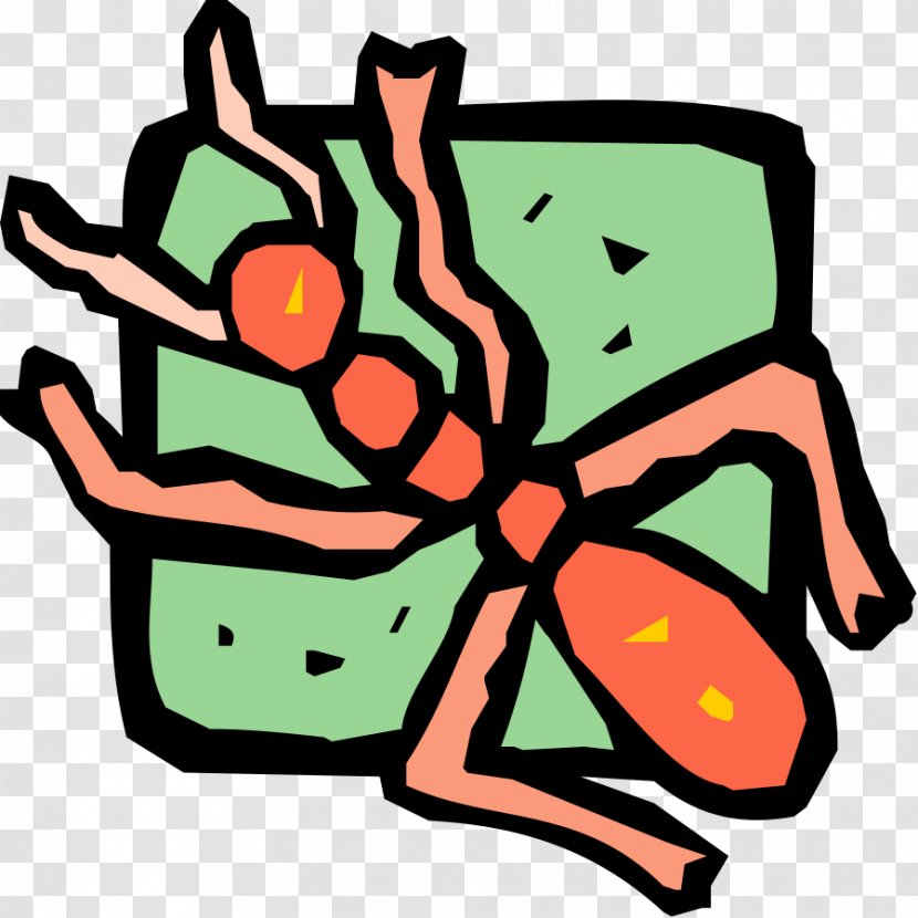 Insect Ant Clip Art - Organism Transparent PNG