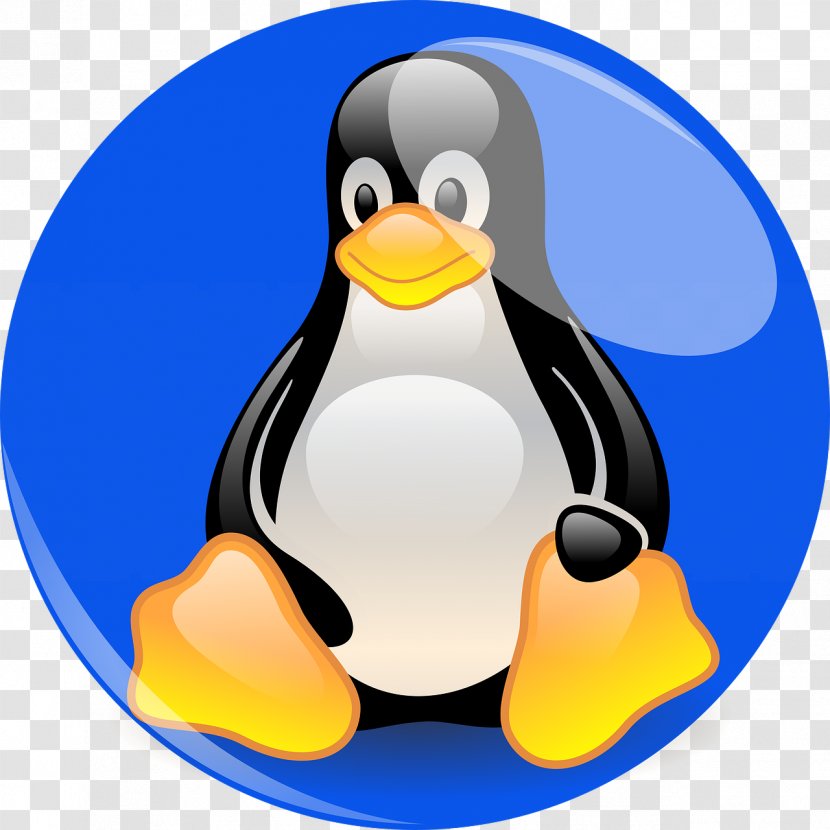Yum Linux Computer Servers CentOS Patch - Logfile - Penguins Transparent PNG