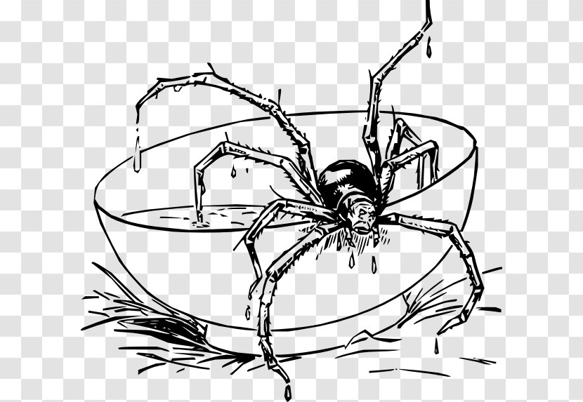 Scary Spiders Coloring Book Tarantula Spider-Man - Spider Transparent PNG