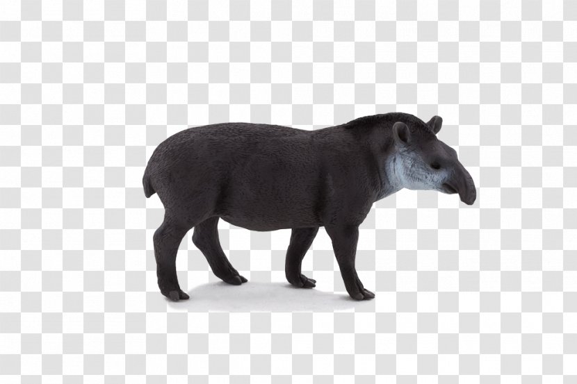 South American Tapir Amazon.com Malayan Toy Baird's - Wildlife Transparent PNG