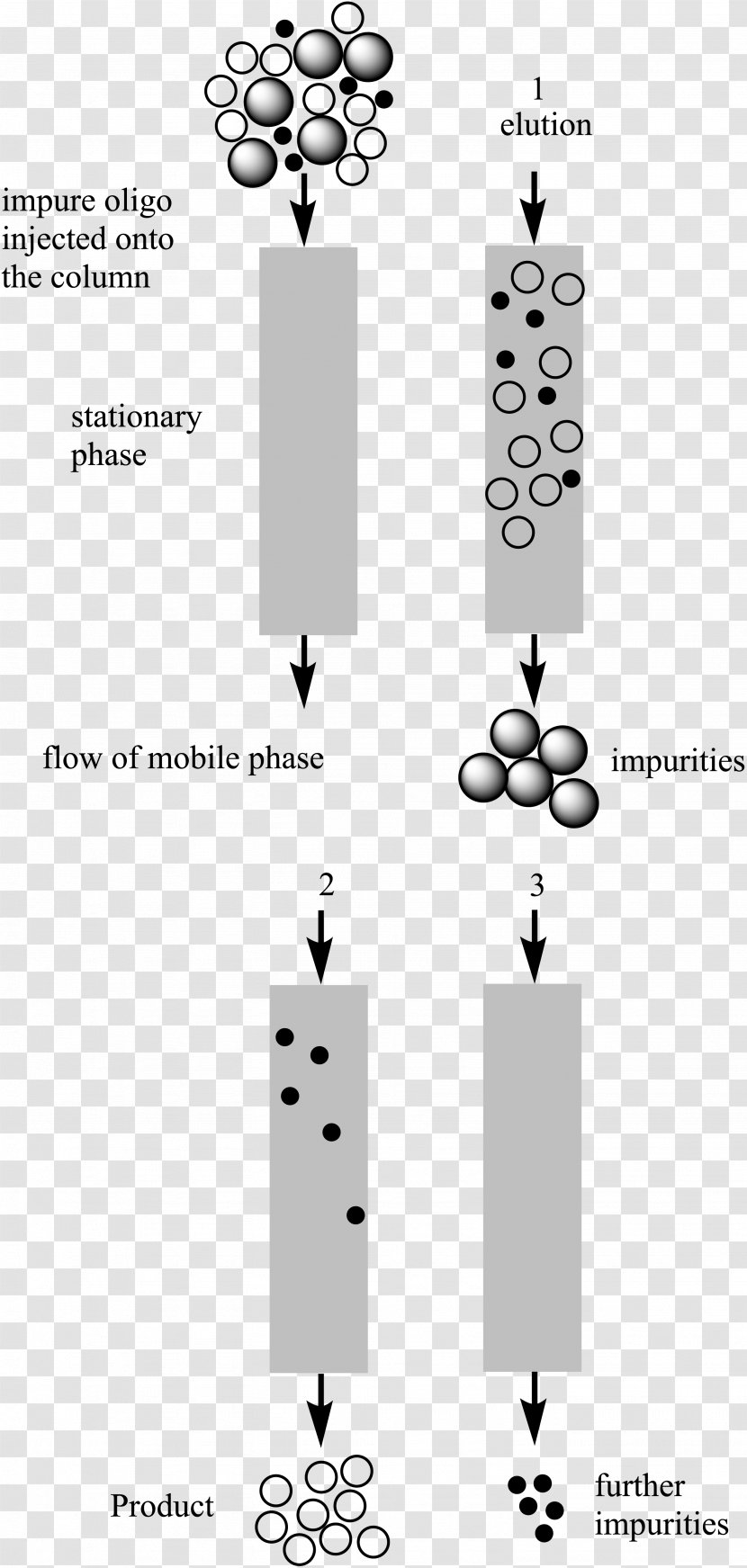 Reversed-phase Chromatography High-performance Liquid Hydrophilic Interaction Adsorption - Sizeexclusion Transparent PNG