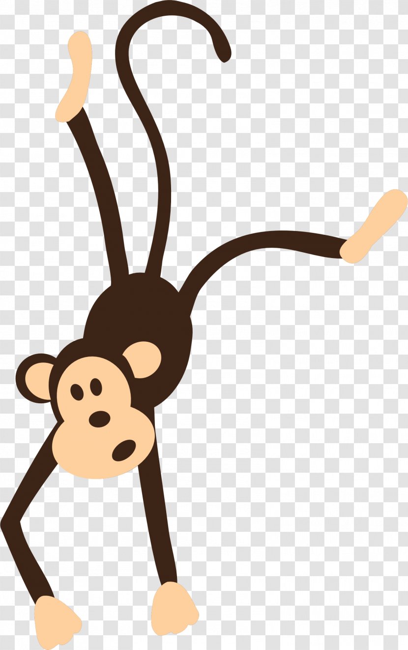Chimpanzee Mandrill Baby Monkeys Primate - Monkey Transparent PNG