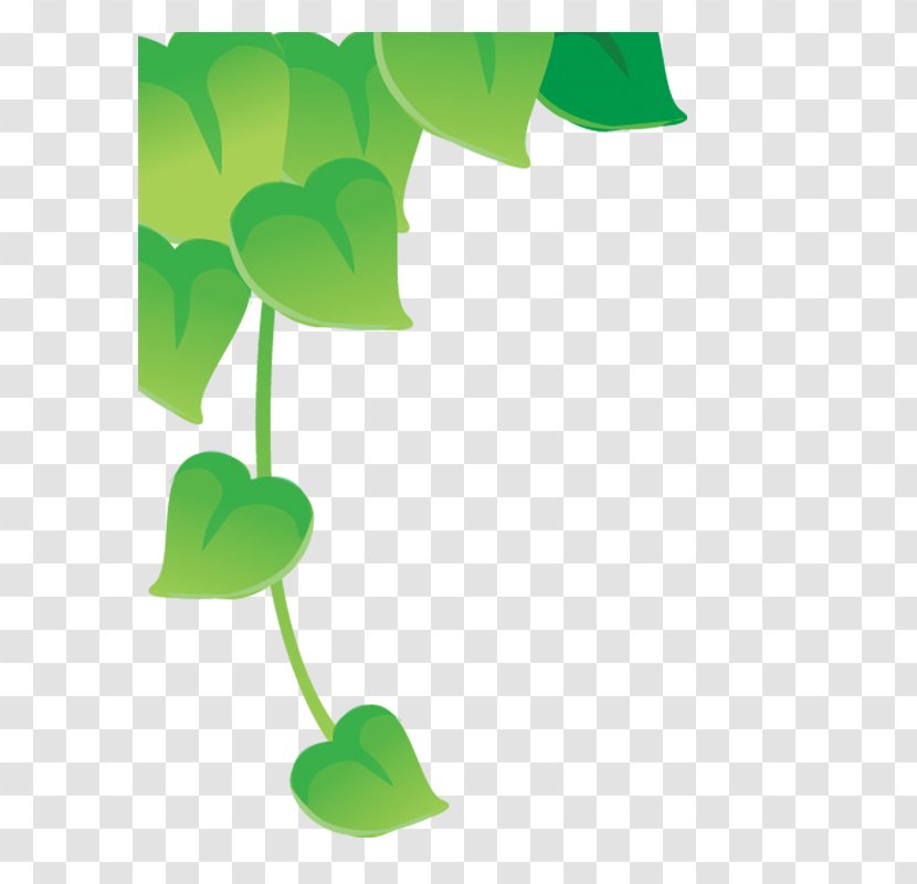 Drawing Illustration - Poster - Leaves Transparent PNG