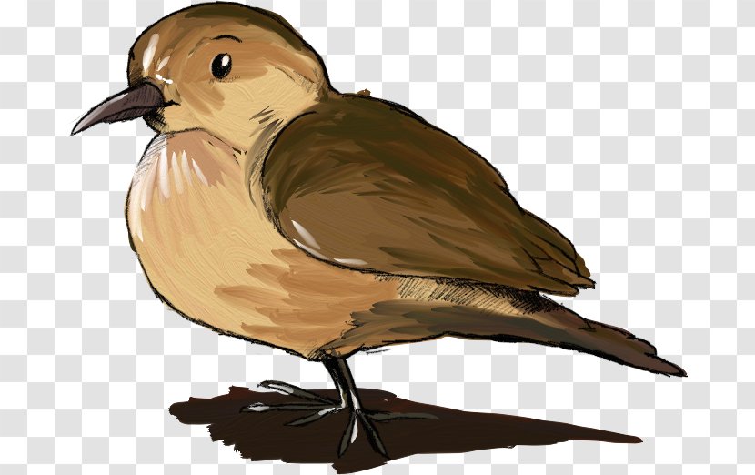 Beak Rufous Hornero Bird Cygnini - Directory Transparent PNG