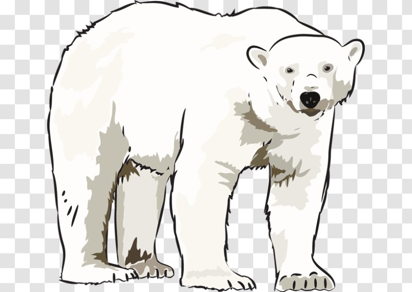 Polar Bear American Black Clip Art - Carnivoran - Winter Cliparts Transparent PNG