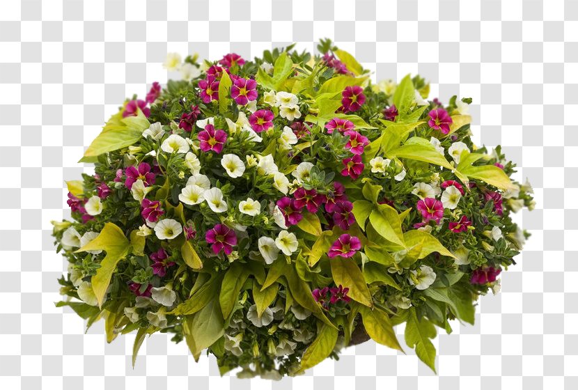 Beautiful Hanging Baskets Container Garden Floral Design Plants - Flowerpot Transparent PNG