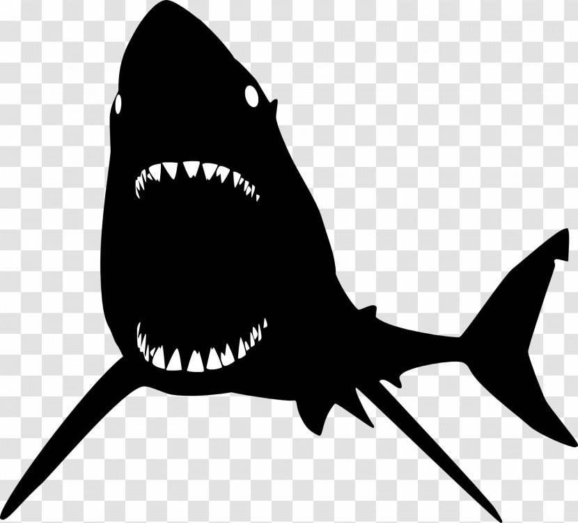 Blue Shark Mouth - Black And White - Sharks Transparent PNG