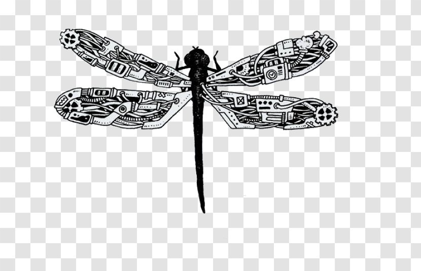 Steampunk Artist Drawing Illustration - Invertebrate - Creative Hand-painted Mechanical Elements Dragonfly Transparent PNG