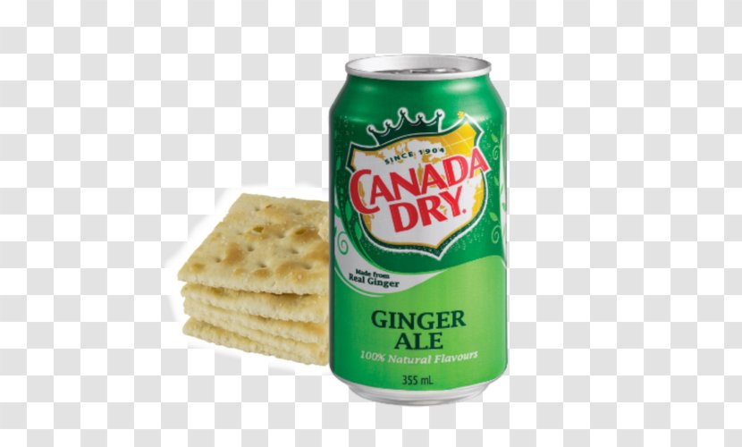 Ginger Ale Fizzy Drinks Carbonated Water Drink Mixer Canada Dry Transparent PNG