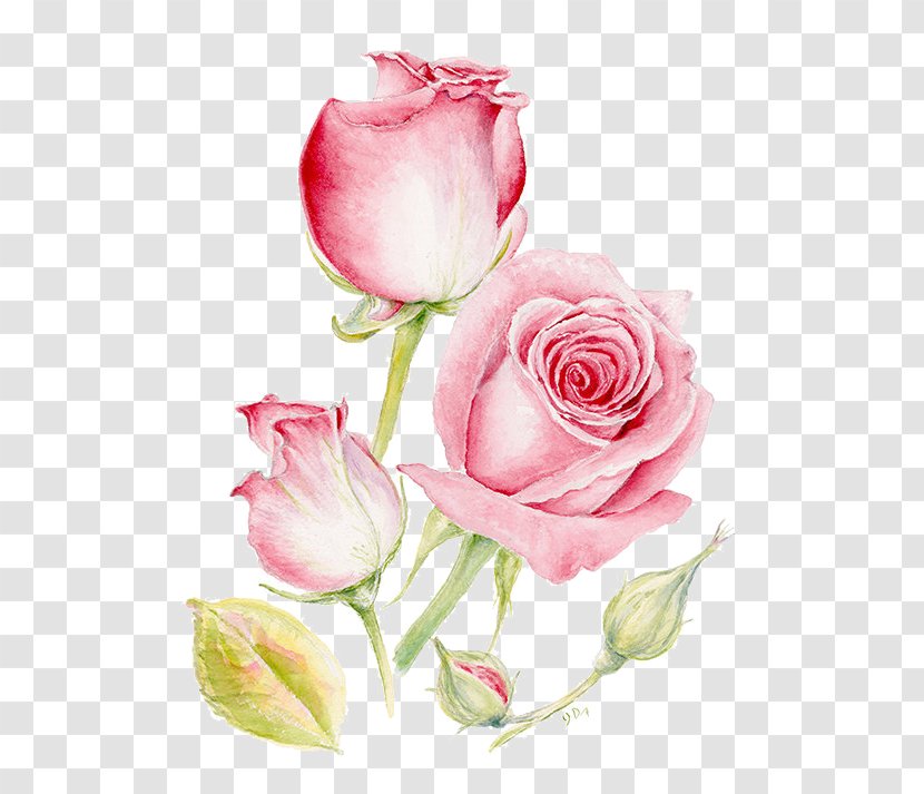 Pink Flowers Painting Printmaking - Rose - Roses Transparent PNG