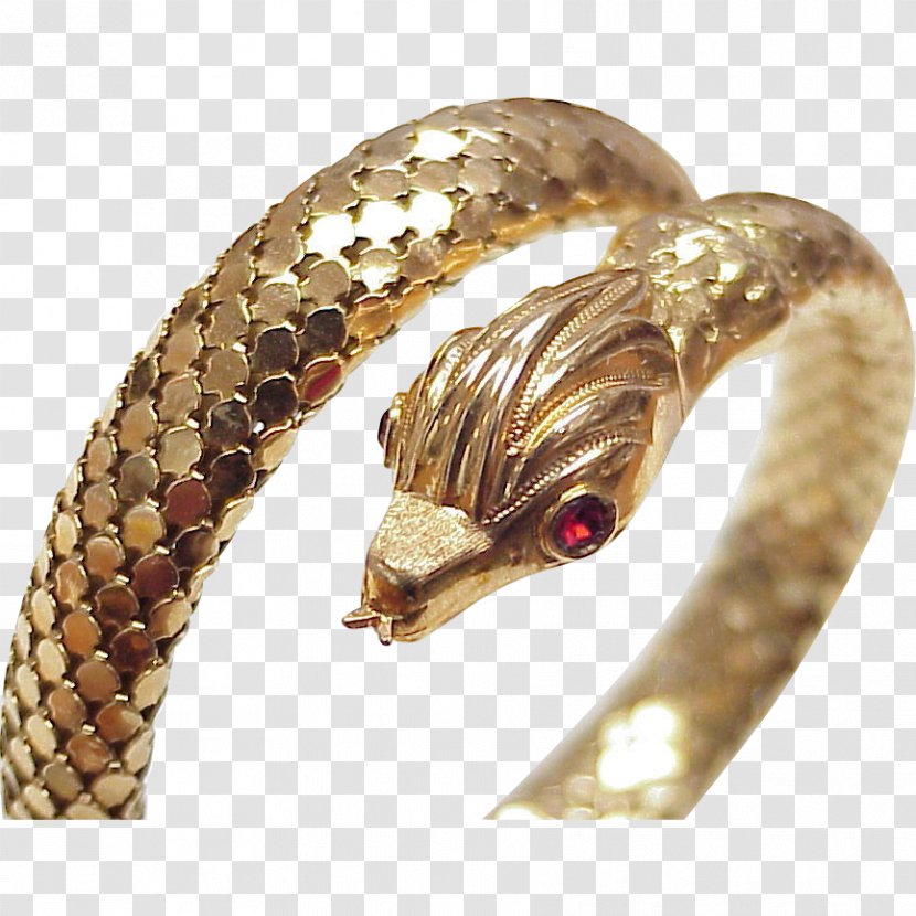 Serpent Snake Gold Metal Jewellery Transparent PNG