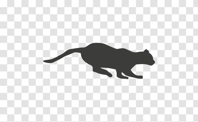 Cat Kangaroo Animal Tail Clip Art - Carnivoran - Sequence Vector Transparent PNG