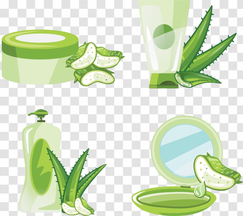 Aloe Vera Euclidean Vector - Flowerpot - Hand-painted Skin Care Products Transparent PNG