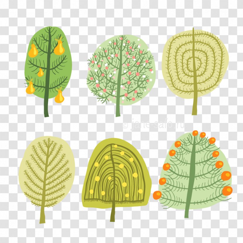 Tree Dracaena Draco Maple Clip Art - Science Transparent PNG