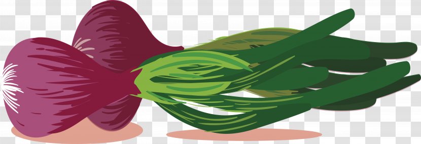 Vegetable Onion Condiment Computer File - Shoe - Hand Painted Transparent PNG