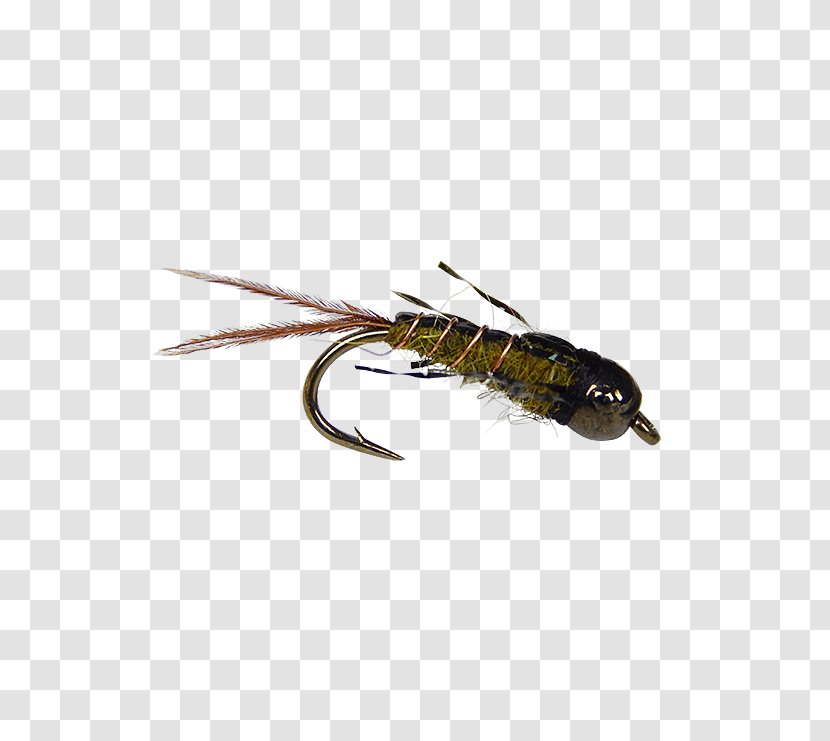 Artificial Fly Fishing Nymph Spoon Lure Insect - Bait - Tying Transparent PNG