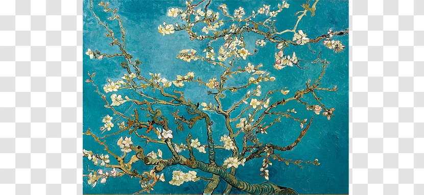 Almond Blossoms Oil Painting Tree In Bloom Transparent PNG