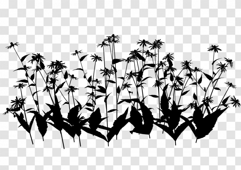 Font Silhouette Pattern Leaf - Plant Stem - Blackandwhite Transparent PNG