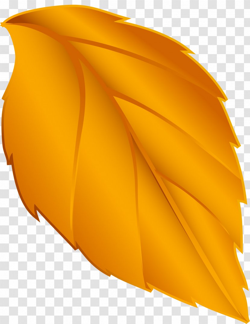 Leaf Plant - Leaves Transparent PNG