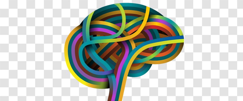 Human Brain Vector Graphics Mind Default Mode Network - Rubber Band - Critical Thinking Logo Transparent PNG