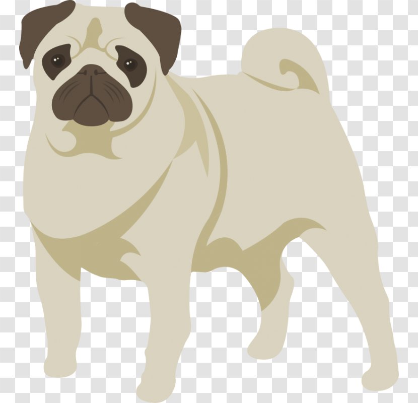Dog Puppy Cat Pet - Aging In Dogs Transparent PNG