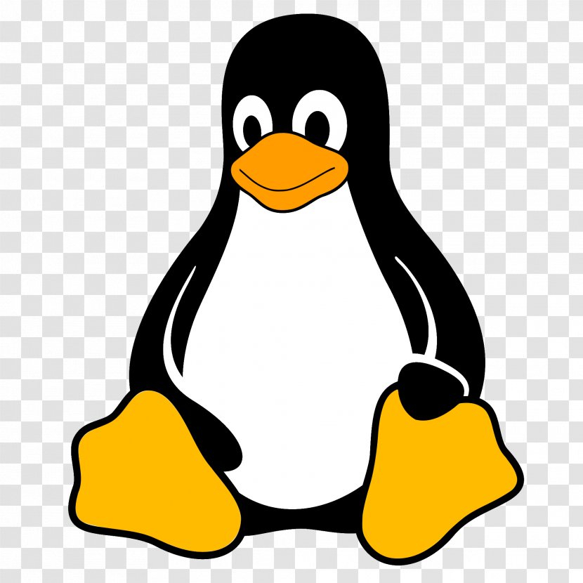 Cartoon Bird - Computer Software - Emperor Penguin Yellow Transparent PNG