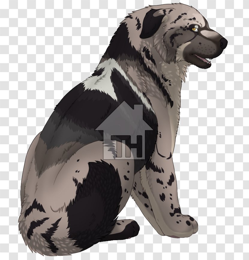 Dog Breed Snout Fur Transparent PNG