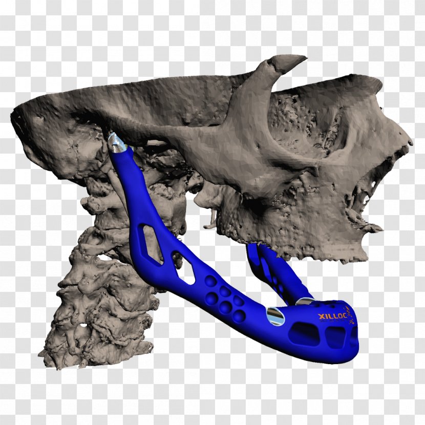 Applications Of 3D Printing Jaw Mandible - Bones Transparent PNG