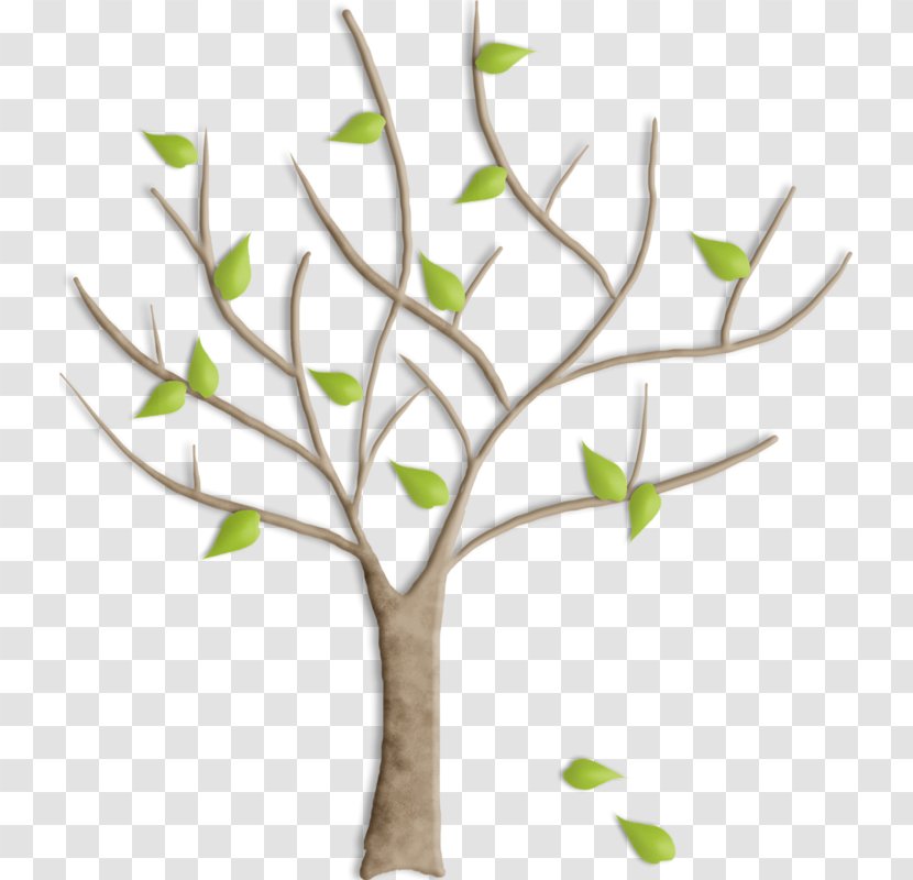 Trunk Peanuts Tree - Plant Stem Transparent PNG