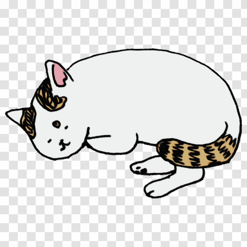 Whiskers Kitten Cat Cartoon Paw Transparent PNG