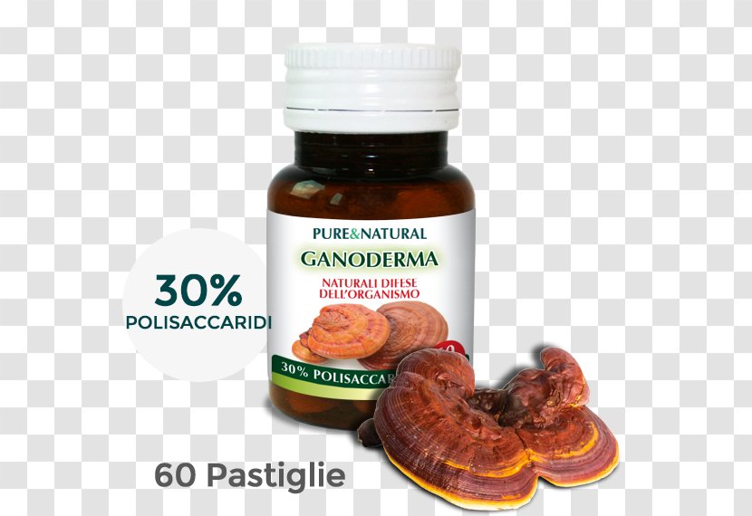 Dietary Supplement Echinacea Angustifolia Purpurea Whey Protein Bodybuilding - Nutrition - Ganoderma Lucidum Transparent PNG