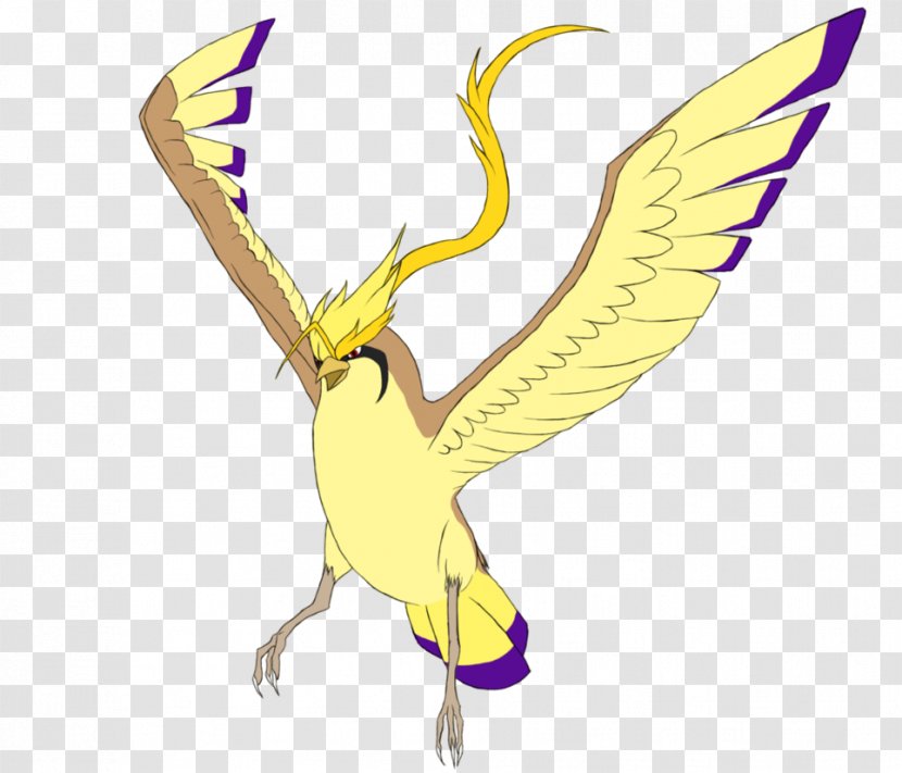 Pidgeot Pokémon Hashtag Photograph Image - Pollinator Transparent PNG