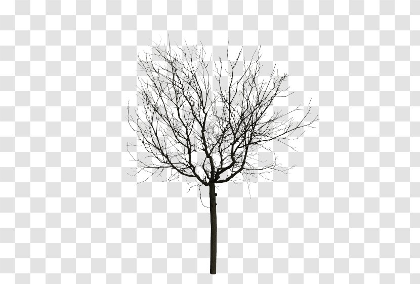 Twig Animation Computer Graphics Tree - Monochrome - Animated Mangrove Forest Transparent PNG