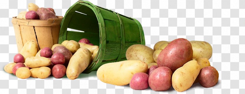 Potato Food Vegetable Vegetarian Cuisine Crop Yield - Kitchen Garden Transparent PNG