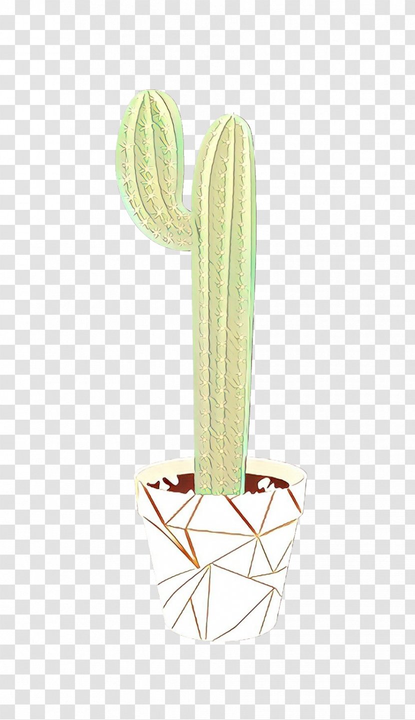 Cactus - Flower Plant Transparent PNG