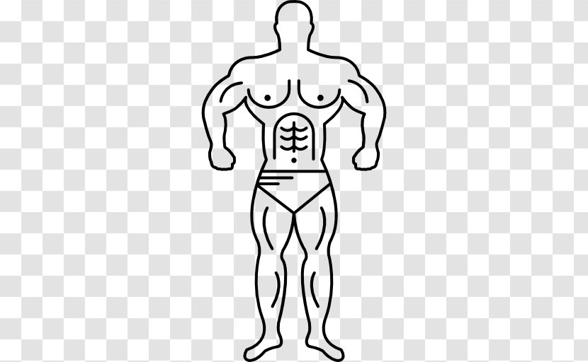 Electrical Muscle Stimulation Muscular System Hypertrophy Human Body - Watercolor - Bodybuilding Transparent PNG