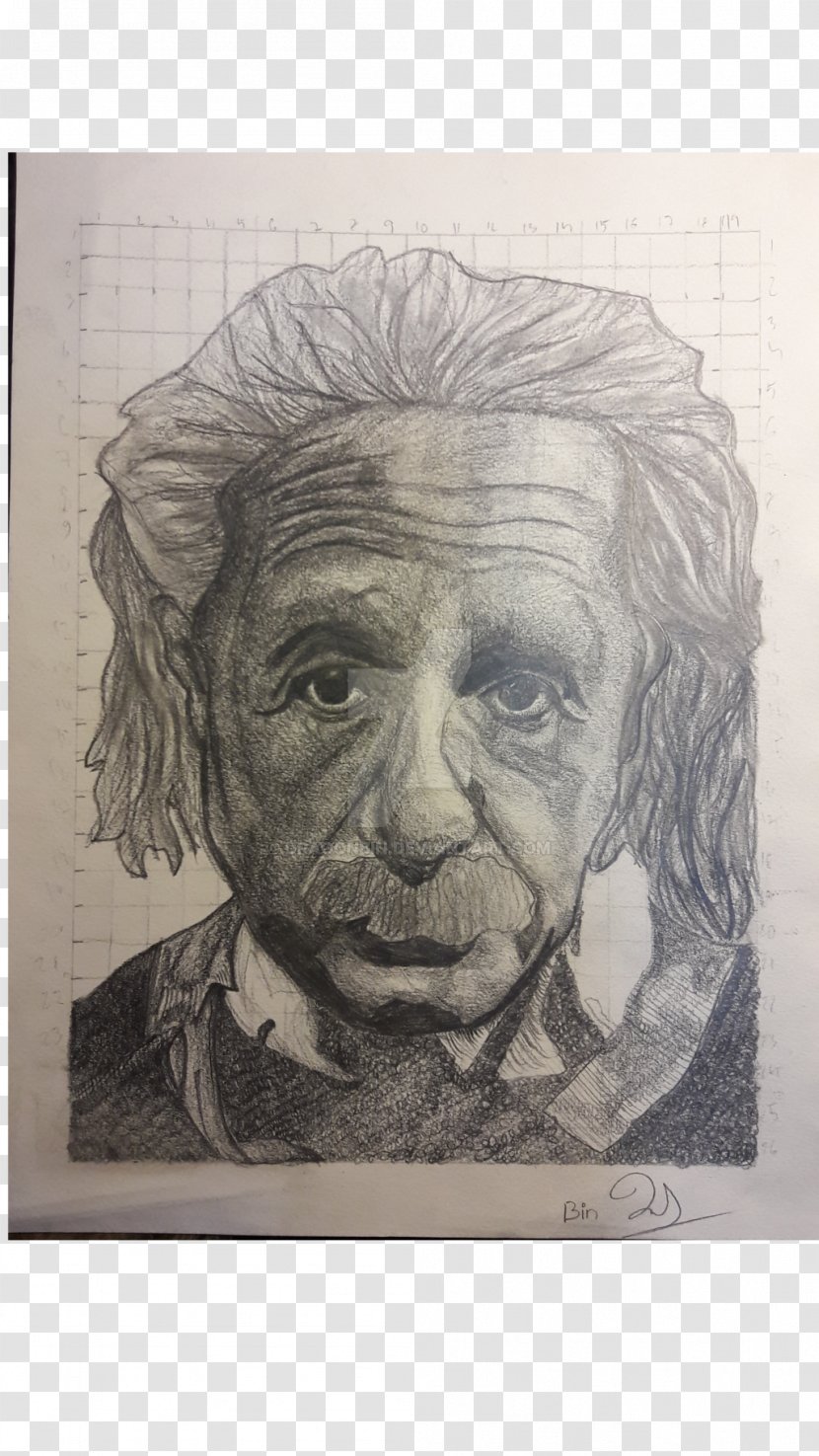 Self-portrait Drawing Visual Arts - Artwork - Einstein Transparent PNG