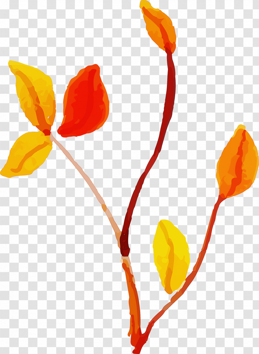 Plant Stem Flower Cut Flowers Petal Leaf Transparent PNG