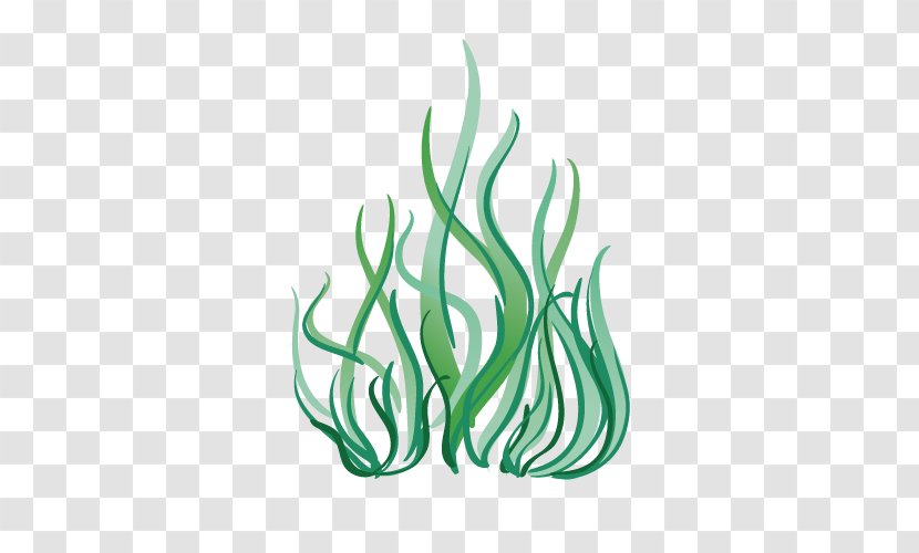Seaweed Marine Biology Deep Sea Aquatic Plant - Cartoon - Plants Transparent PNG