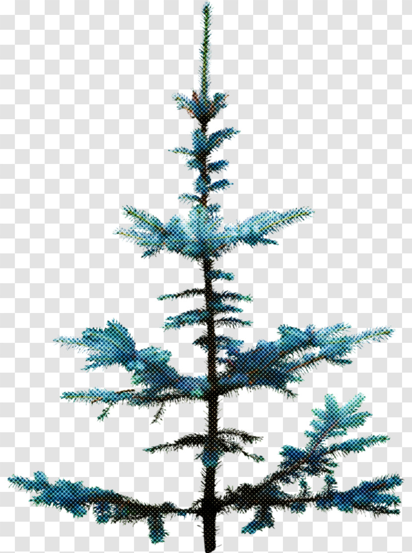 Christmas Tree Transparent PNG