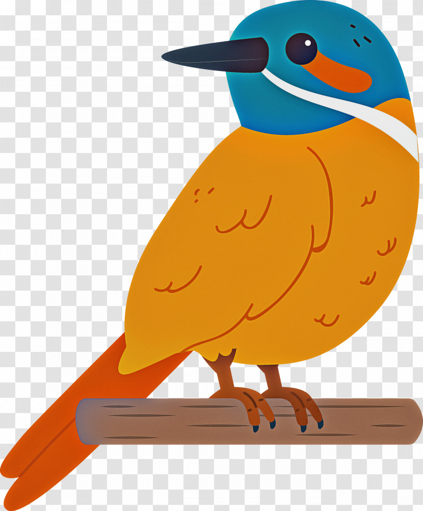 Beak Orange S.a. Transparent PNG