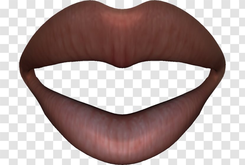 PhotoScape Lip GIMP Anatomy - Homo Sapiens - Anatomia Transparent PNG