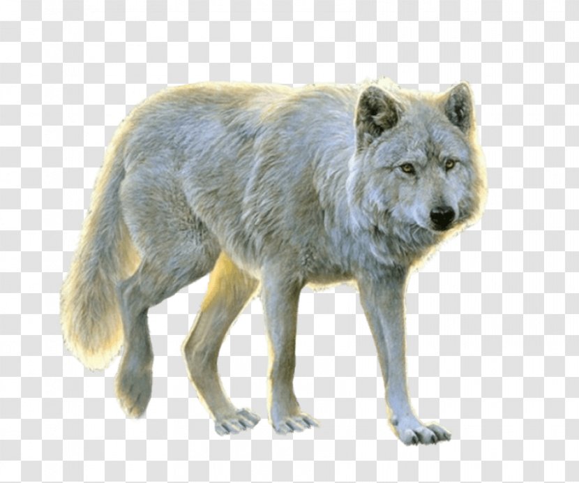 Dog Arctic Wolf Transparency Clip Art - Mammal Transparent PNG