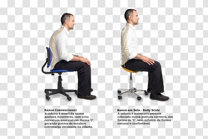 Bank Office & Desk Chairs Sitting Human Factors And Ergonomics Transparent PNG